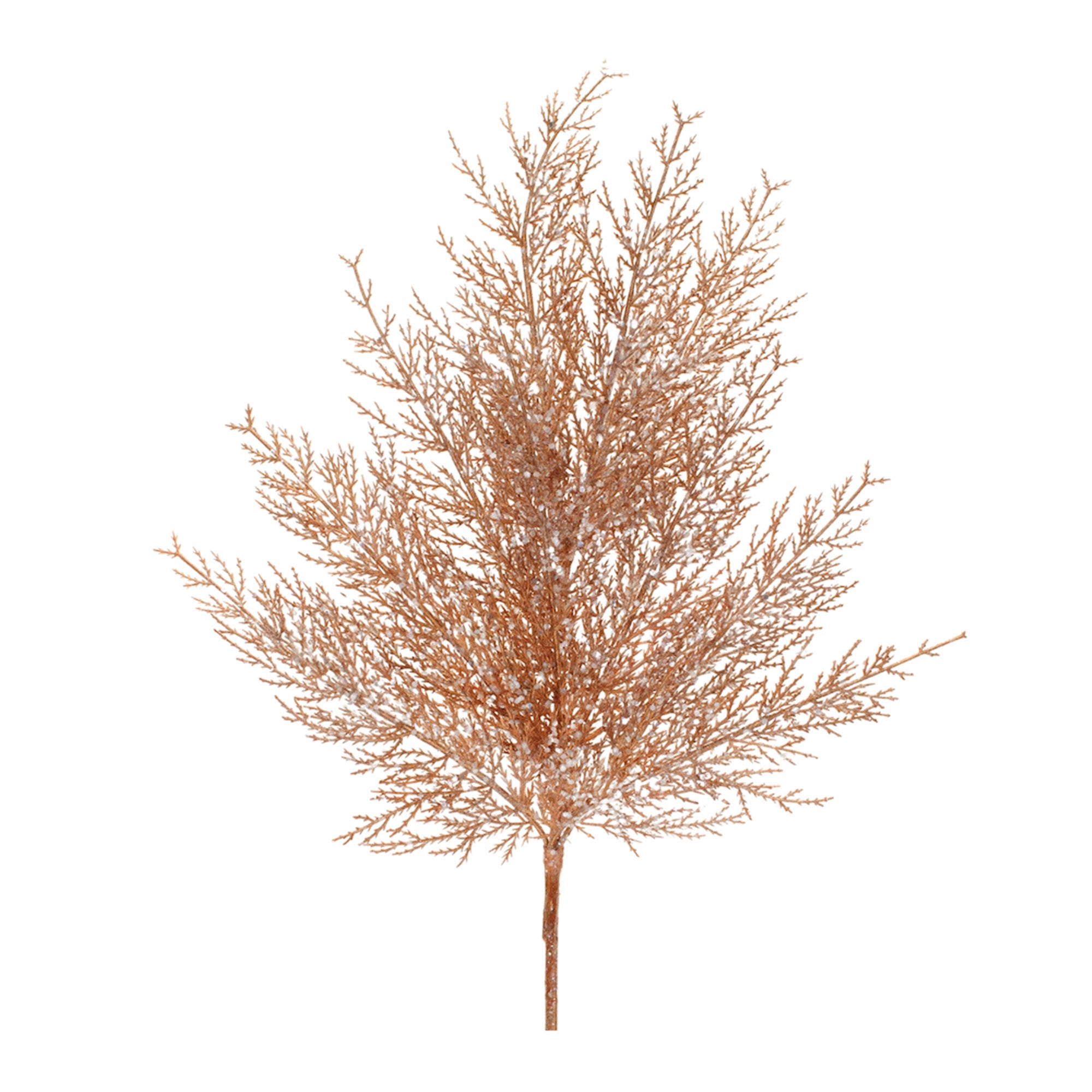 Cedar Spray (Set of 4)