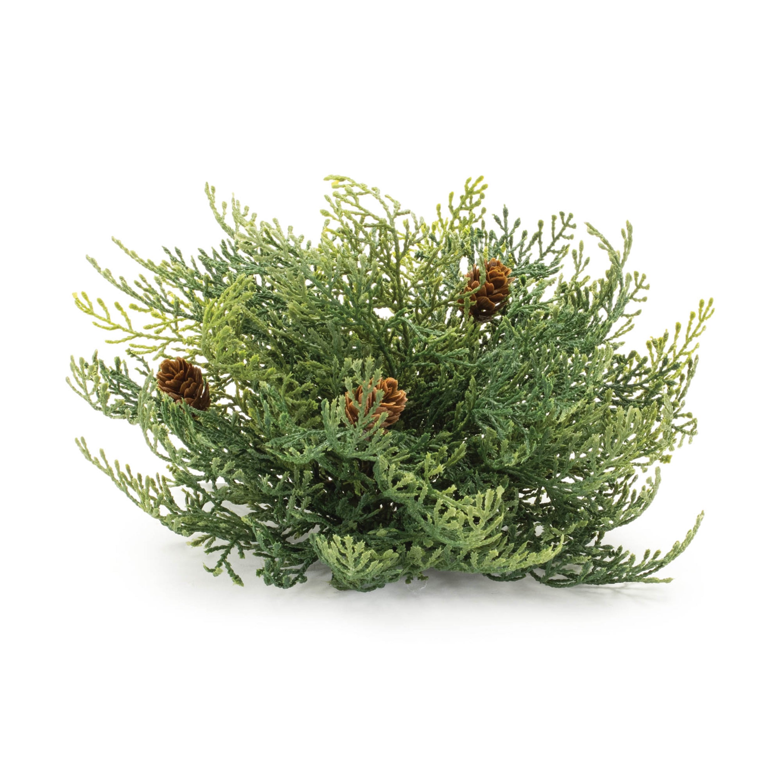 Cedar Pinecone Half Orb (Set of 2)